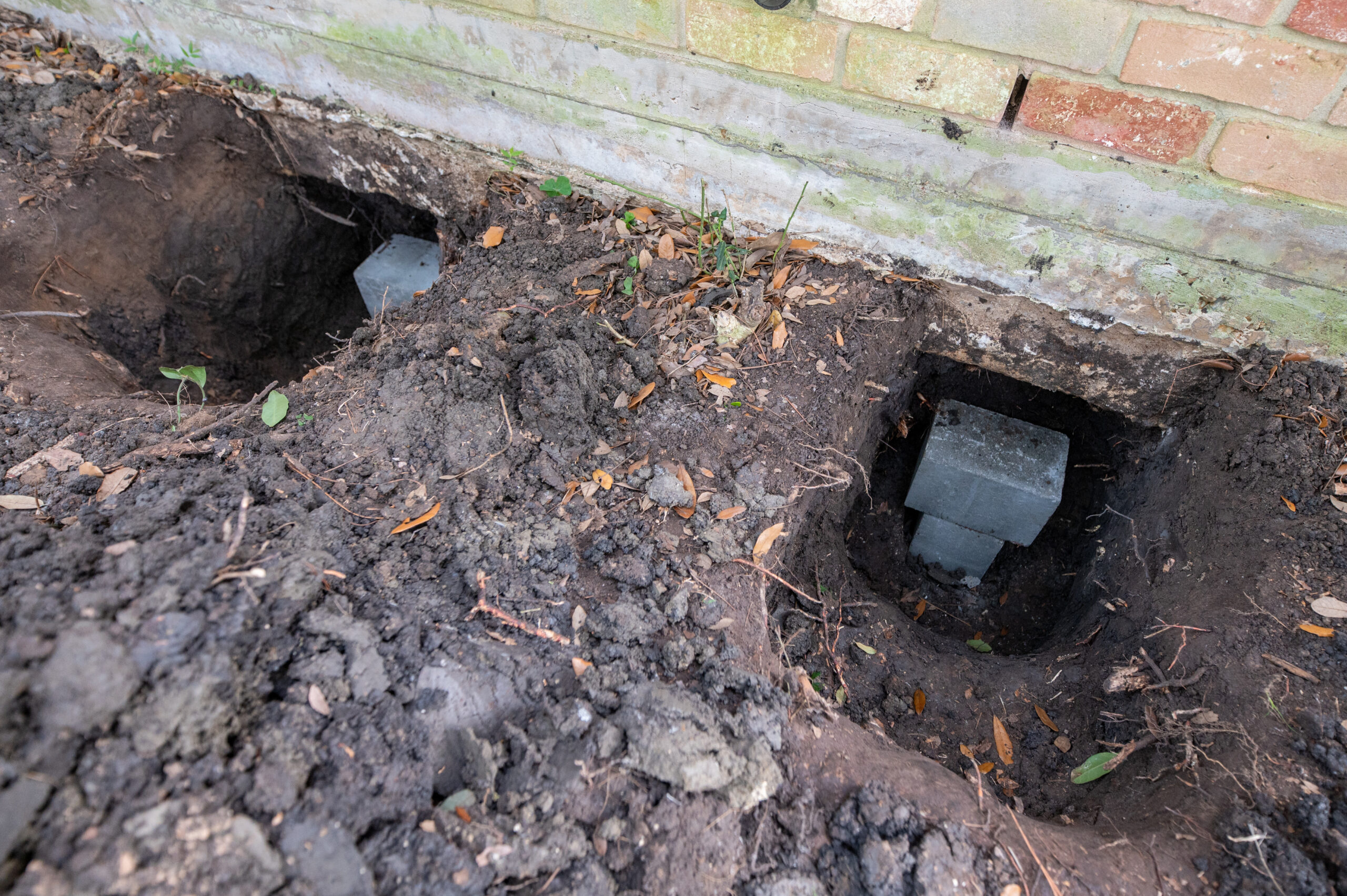 Generocity 014 generocity location