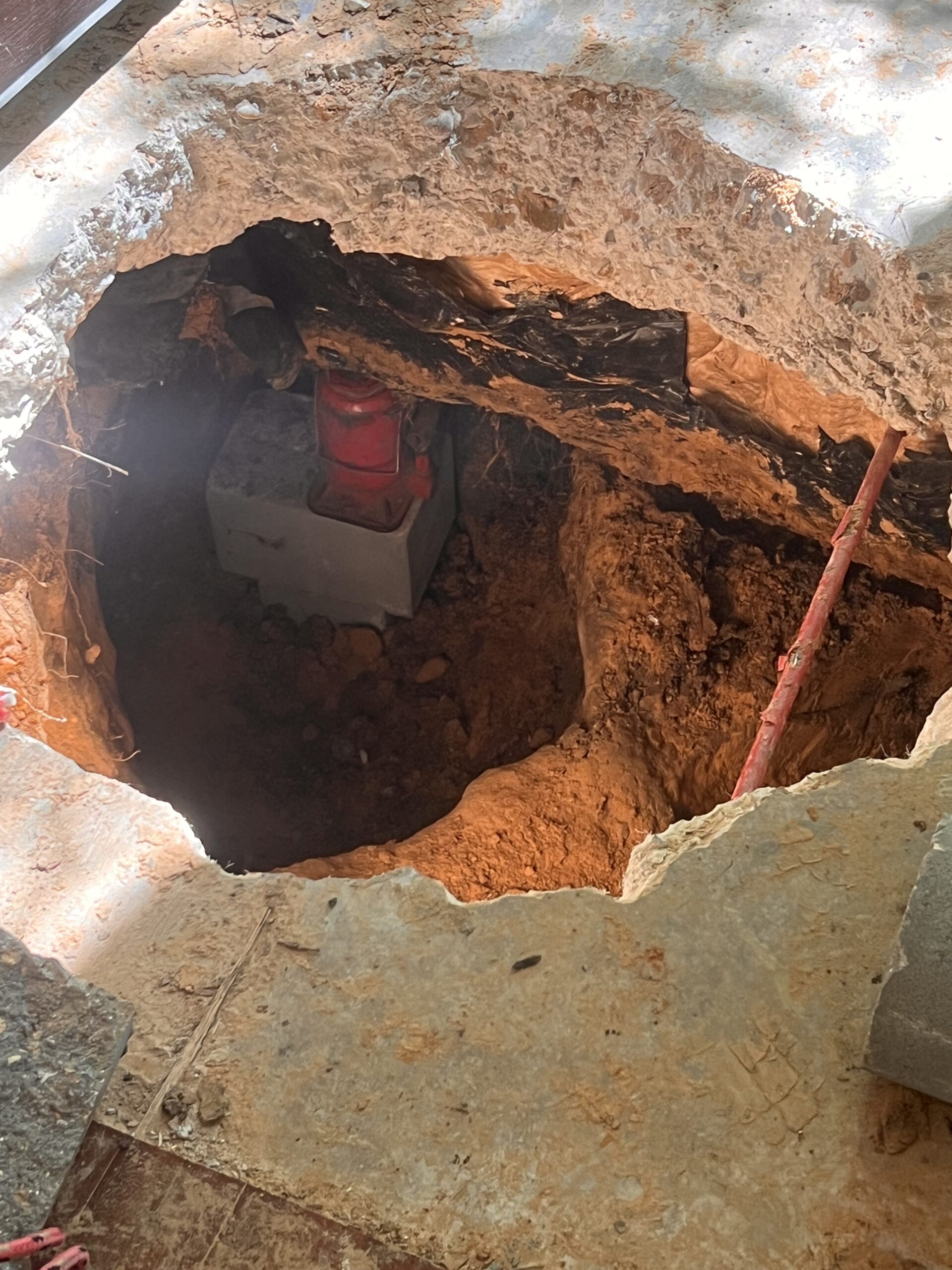 Generocity Photo Apr 03 2024, 3 44 00 PM