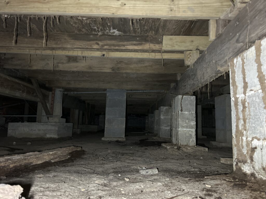 Generocity Photo Apr 09 2025, 10 30 26 AM