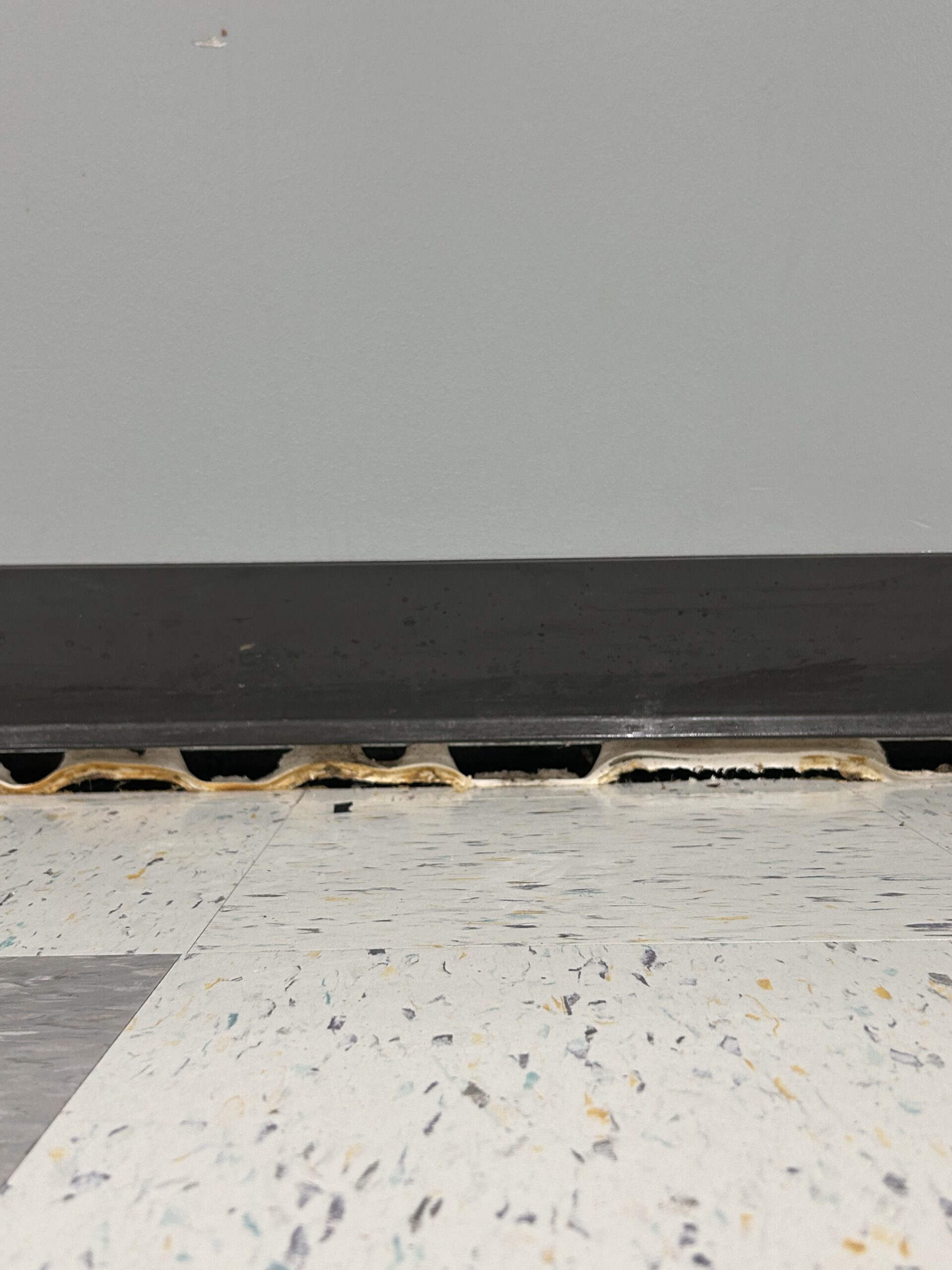 Generocity Photo Jun 13 2025, 3 05 17 PM