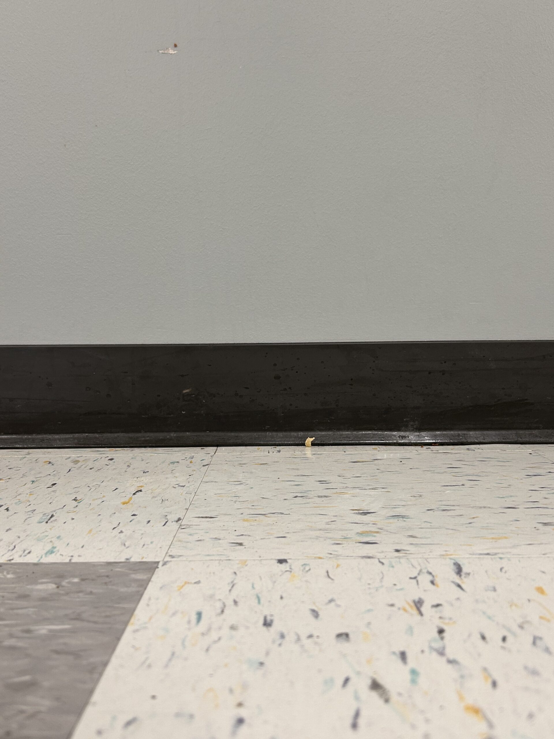 Generocity Photo Jun 13 2025, 3 41 52 PM